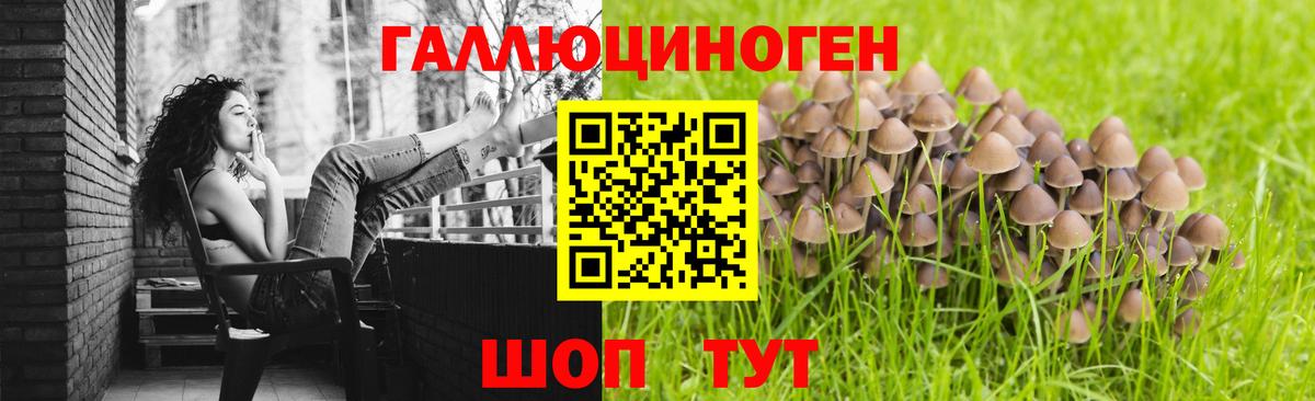 Галлюциногенные грибы GOLDEN TEACHER  Псилоцибиновые грибы GOLDEN TEACHER  Вход с VPN  Осинники 